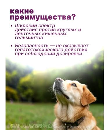 KRKA Dechinel plus tablets for large dogs 12 tab - Buy Online on GoSupps.com