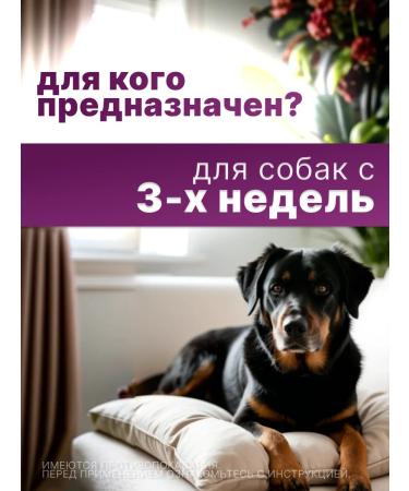 KRKA Dechinel plus tablets for large dogs 12 tab - Buy Online on GoSupps.com