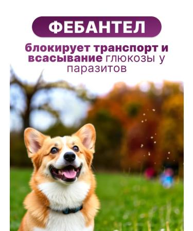 KRKA Dechinel plus tablets for large dogs 12 tab - Buy Online on GoSupps.com