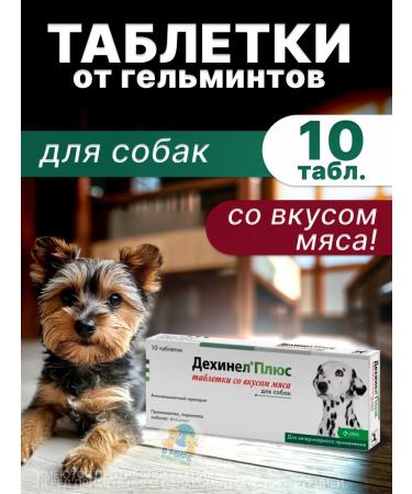 KRKA Dechinel plus tablets for medium dogs 10 tab
