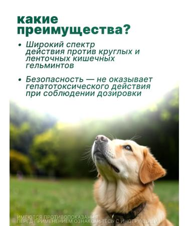 KRKA Dechinel plus tablets for medium dogs 10 tab - Buy Online on GoSupps.com