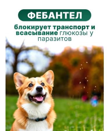 KRKA Dechinel plus tablets for medium dogs 10 tab - Buy Online on GoSupps.com