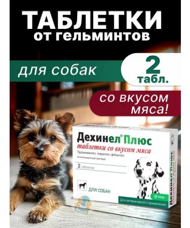 KRKA Dechinel plus tablets for medium dogs 2 tab
