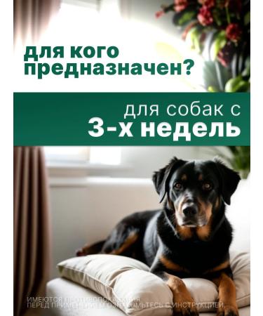 KRKA Dechinel plus tablets for medium dogs 2 tab - Buy Online on GoSupps.com