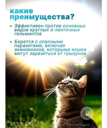 KRKA Dechinel cat tablets 2 tab - Buy Online on GoSupps.com