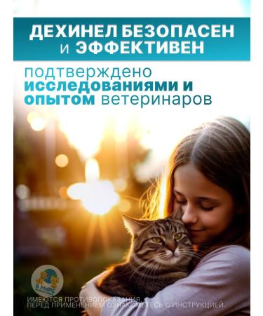 KRKA Dechinel cat tablets 2 tab - Buy Online on GoSupps.com