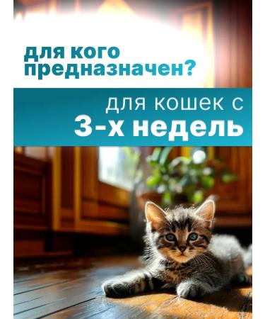 KRKA Dechinel cat tablets 2 tab - Buy Online on GoSupps.com