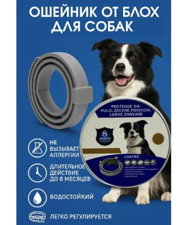 CO&LIN Blockel collar for dogs