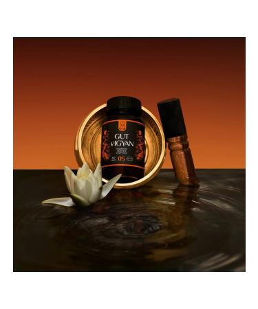 NL Store New Life GUT VIGYAN - "GAT VIGYAN Restoration of the intestine" - Buy Online on GoSupps.com