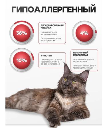 Cosmocat Dry food for cats Main-kun with turkey 0.8 kg - Buy Online on GoSupps.com