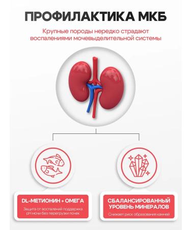 Cosmocat Dry food for cats Maine-kun with turkey 1.8 kg - Buy Online on GoSupps.com