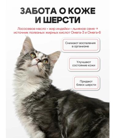 Cosmocat Dry food for cats Maine-kun with turkey 1.8 kg - Buy Online on GoSupps.com