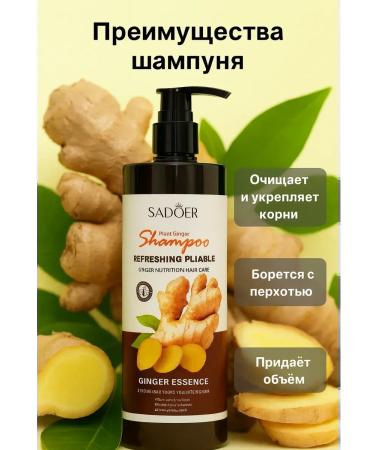 ATM95 Shampoo and air conditioning with ginger - Buy Online on GoSupps.com