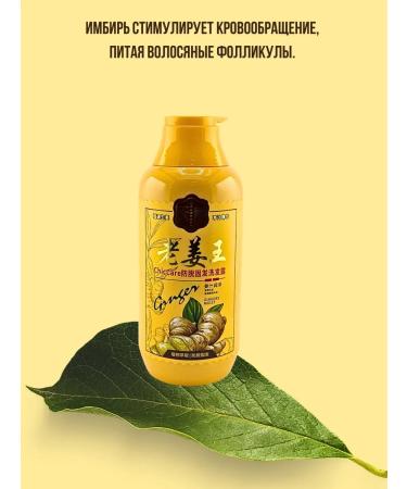 ZAYN 81 Ginger shampoo - Buy Online on GoSupps.com
