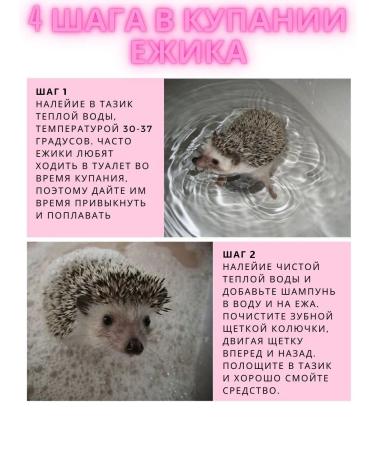 Hedgehog shampoo 4 in 1 300 ml without fragrance - Buy Online on GoSupps.com