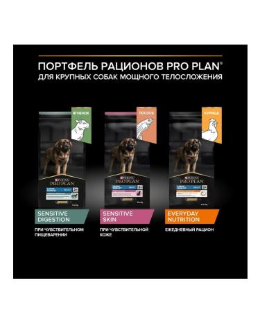 Pro Plan Dry Food for Adult Dogs with Sensitive Skin with Salmon 14 kg - Buy Online on GoSupps.com