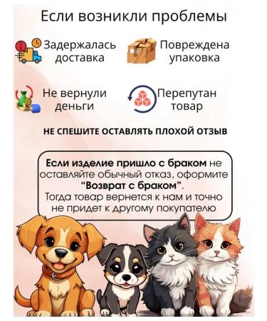 PNA Palette of highlighters for facial makeup and eye 4 shade - Buy Online on GoSupps.com