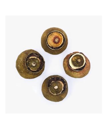 JEKITCHAY Tea Shu Puer in tangerine 2022 - Buy Online on GoSupps.com