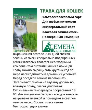 Seeds for Siberia Seeds for cats - Buy Online on GoSupps.com