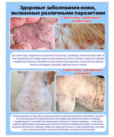 Kitty and puppy shampoo hypoallergenic from fleas - Buy Online on GoSupps.com