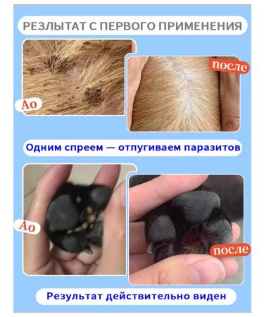 Kitty and puppy shampoo hypoallergenic from fleas - Buy Online on GoSupps.com