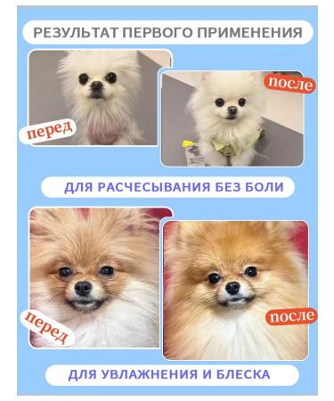 Kitty and puppy shampoo hypoallergenic from fleas - Buy Online on GoSupps.com