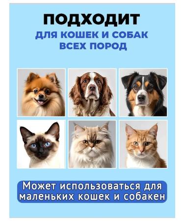 Kitty and puppy shampoo hypoallergenic from fleas - Buy Online on GoSupps.com