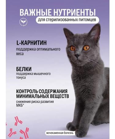 ROYAL CANIN Dry food for sterilized cats Sterilized 37 2kg - Buy Online on GoSupps.com