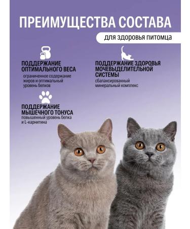 ROYAL CANIN Dry food for sterilized cats Sterilized 37 2kg - Buy Online on GoSupps.com