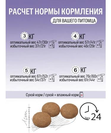 ROYAL CANIN Dry food for sterilized cats Sterilized 37 2kg - Buy Online on GoSupps.com