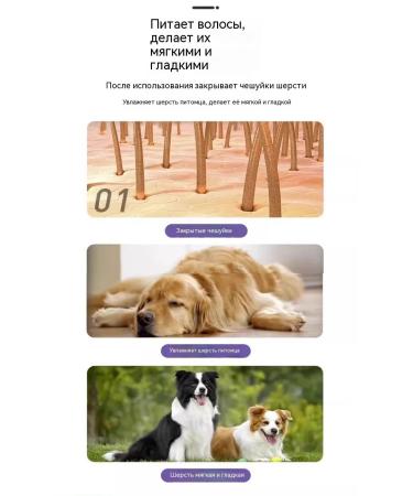 Air conditioner for dogs and cats from tangles - Buy Online on GoSupps.com