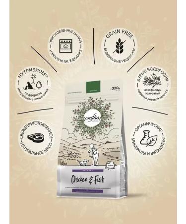 CRAFTIA HARMONA Dry food for kittens with chicken and fish 320g - Buy Online on GoSupps.com