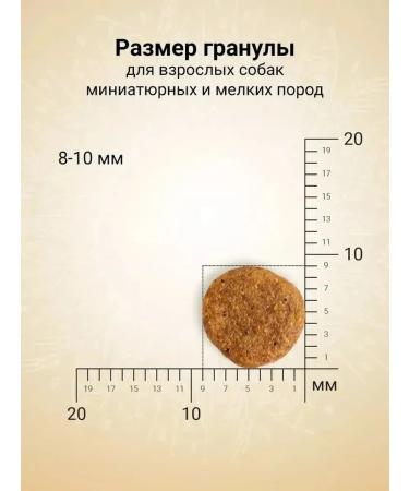 CRAFTIA NATURA Dry food for dogs of small and miniat. breeds chicken indt 2kg - Buy Online on GoSupps.com