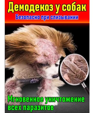 Dog demodicosis remedy 100 ml