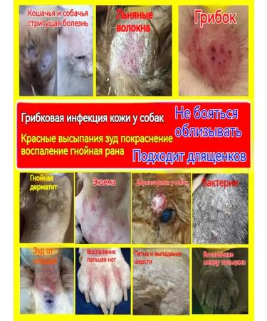 Dog demodicosis remedy 100 ml - Buy Online on GoSupps.com