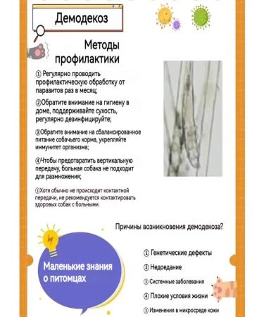 Dog demodicosis remedy 100 ml - Buy Online on GoSupps.com