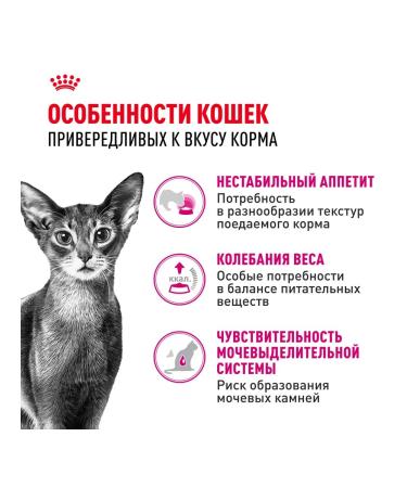 ROYAL CANIN Savour Exigent (Sevor eccientent) for fastidious cats 10kg - Buy Online on GoSupps.com