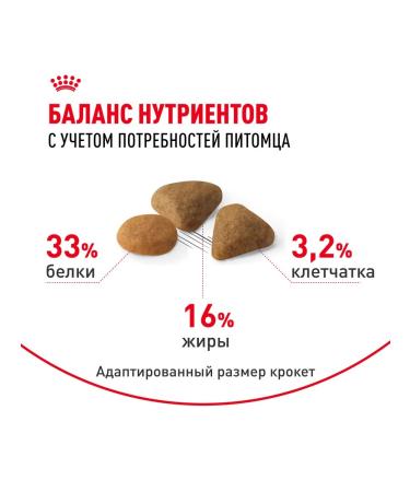 ROYAL CANIN Savour Exigent (Sevor eccientent) for fastidious cats 10kg - Buy Online on GoSupps.com