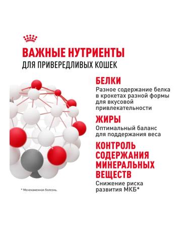 ROYAL CANIN Savour Exigent (Sevor eccientent) for fastidious cats 10kg - Buy Online on GoSupps.com