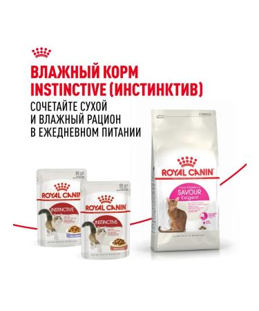 ROYAL CANIN Savour Exigent (Sevor eccientent) for fastidious cats 10kg - Buy Online on GoSupps.com