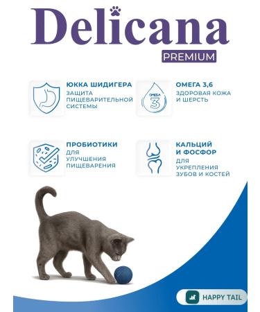 Delicana Dry food for cats with salmon 1.5 kg - Buy Online on GoSupps.com
