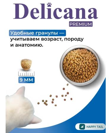 Delicana Dry food for cats with salmon 1.5 kg - Buy Online on GoSupps.com