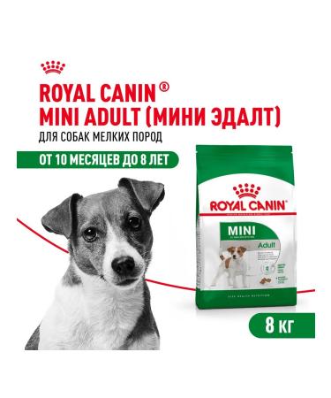 ROYAL CANIN Dry food for dogs of small breeds Mini Adult (Mini Edalt) 8kg