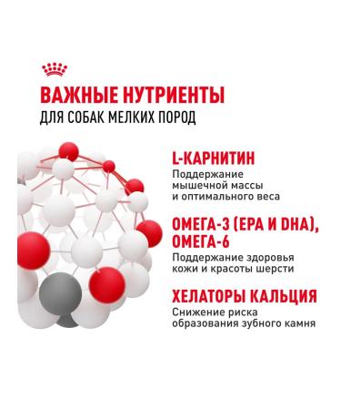 ROYAL CANIN Dry food for dogs of small breeds Mini Adult (Mini Edalt) 8kg - Buy Online on GoSupps.com