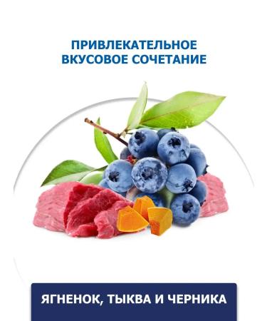 Farmina Wet food for small breed puppies 140 g x 2 pcs - Buy Online on GoSupps.com