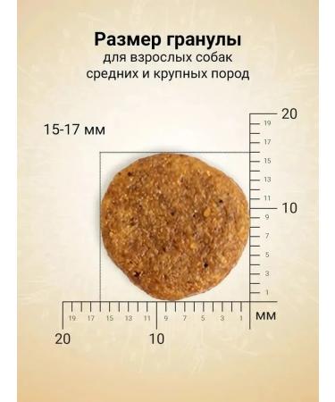 CRAFTIA NATURA Dry food for dogs media and breeds of yagn quail 2kg - Buy Online on GoSupps.com