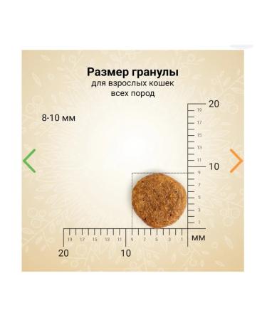 CRAFTIA HARMONA North Sea Fish dry cat food fish 1.4kg - Buy Online on GoSupps.com