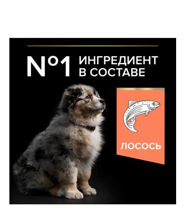 PRO PLAN About the plan of dry food for puppies of medium breeds with salmon 3 kg - Buy Online on GoSupps.com