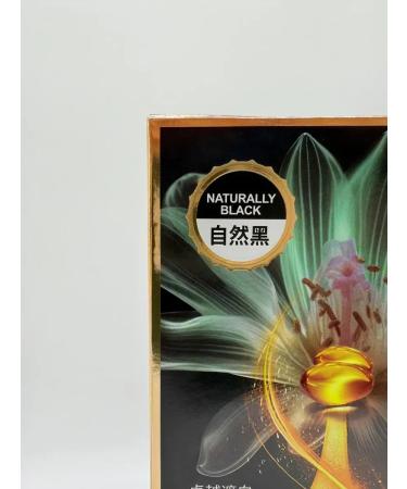 NAZKA21 Shampoo hair dye black persistent 400 ml - Buy Online on GoSupps.com