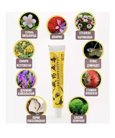 Gintensive Chinese painkillers for joints set 5 pcs - Buy Online on GoSupps.com